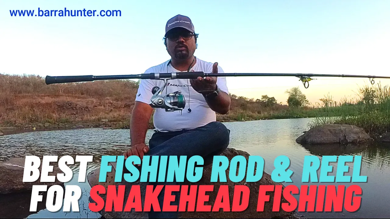 best Fishing rod for snakehead fishing