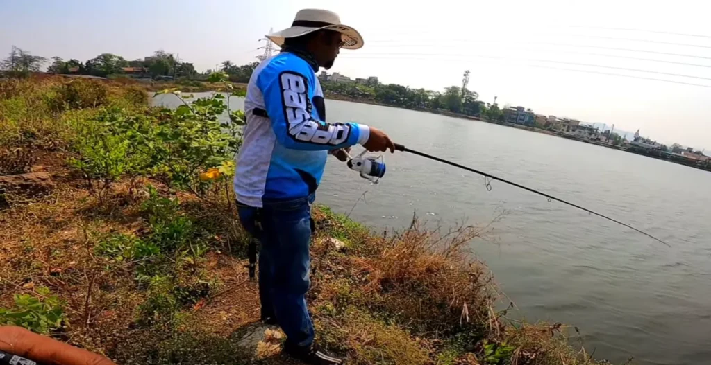 Best Fishing Rod and Reel for Snakehead Fishing

