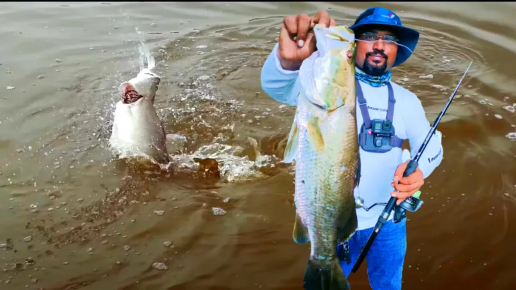 BarraHunter in action with Barramundi Fish