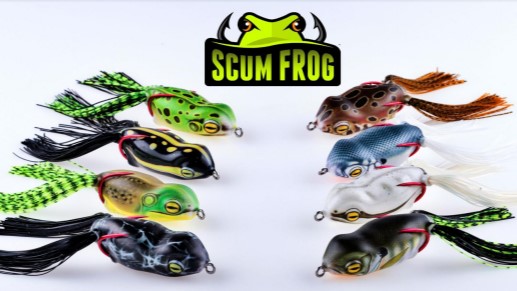 scum frog