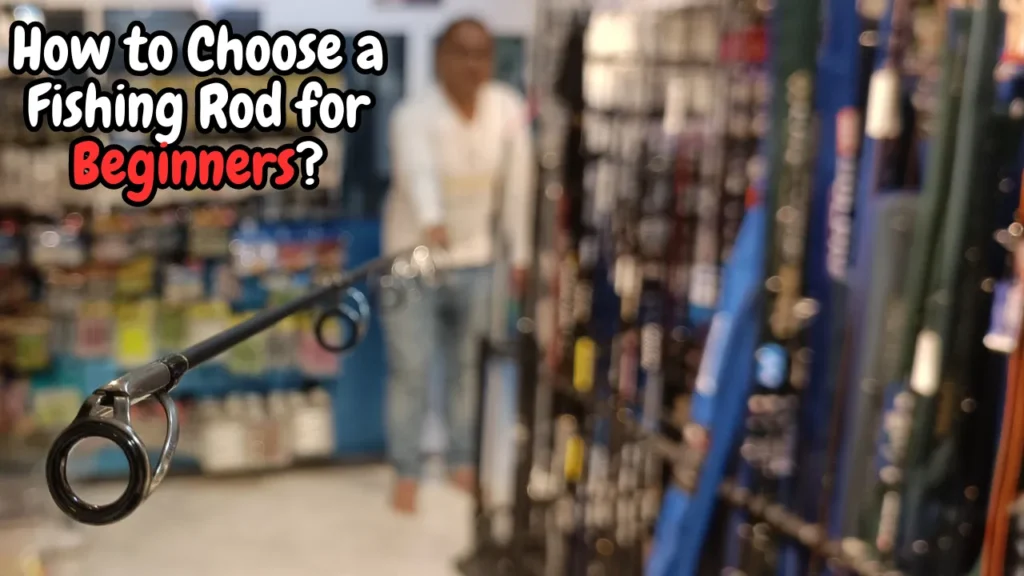 How to Choose a Fishing Rod for Beginners?