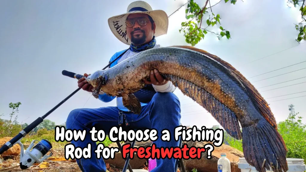 How to Choose a Fishing Rod for Freshwater?