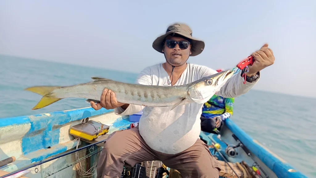 Yellowtail Barracuda