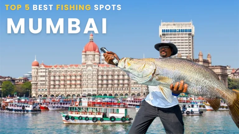 Best Fishing Spots Near Me in Mumbai