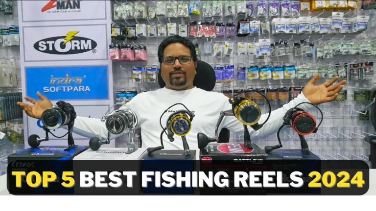 TOP 5 BEST Fishing Reels 2024