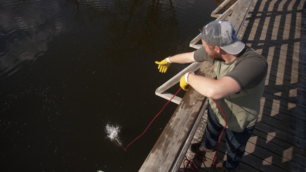 magnet-fishing