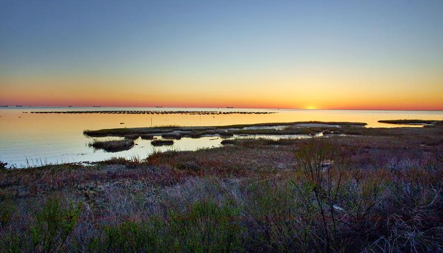 Cherrystone Aqua-Farms, Virginia