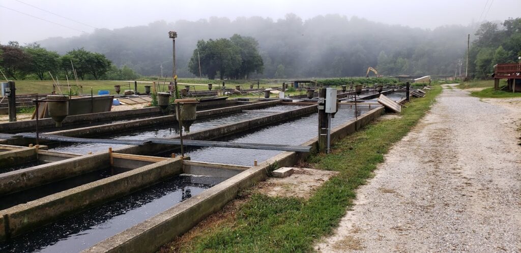 Crystal Lake Fisheries, Missouri