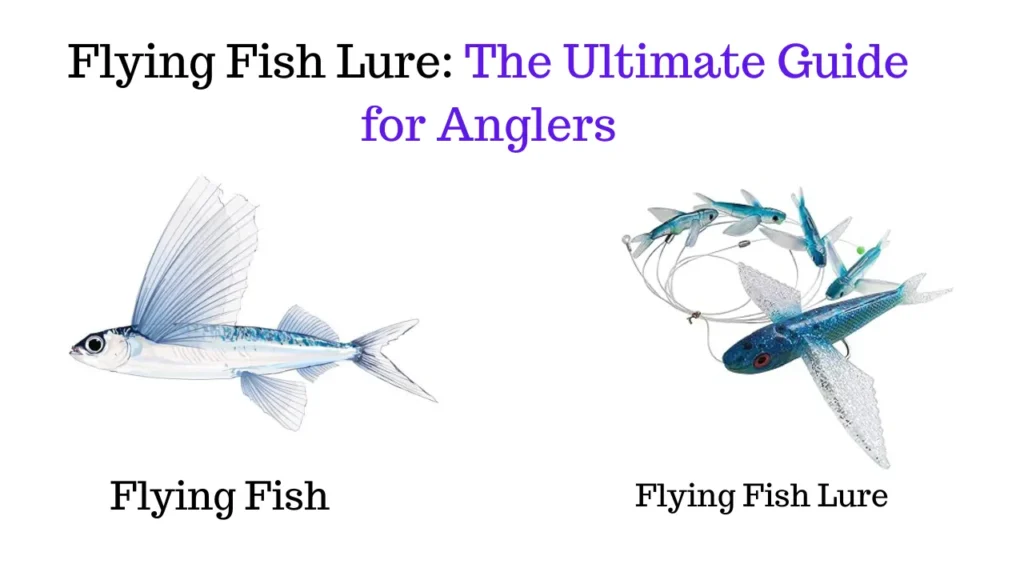 Flying Fish Lure