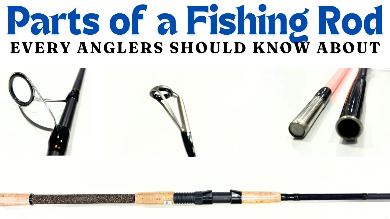 Parts of a Fishing Rod