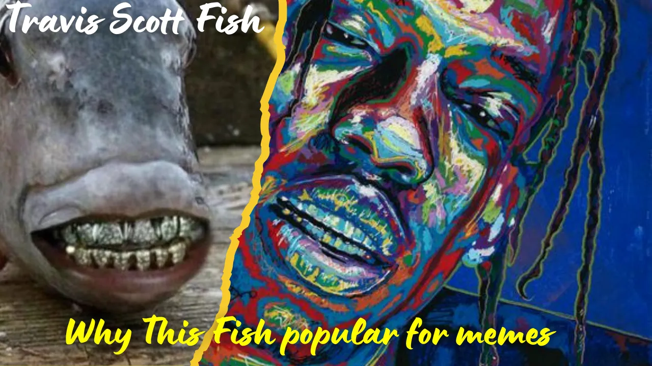 Travis Scott Fish