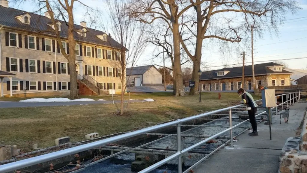 Hatchery Trout Farm, Pennsylvania