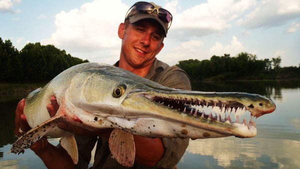 Fish with Big Teeth