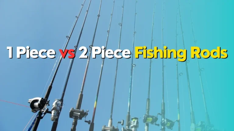 1 Piece vs 2 Piece Fishing Rods