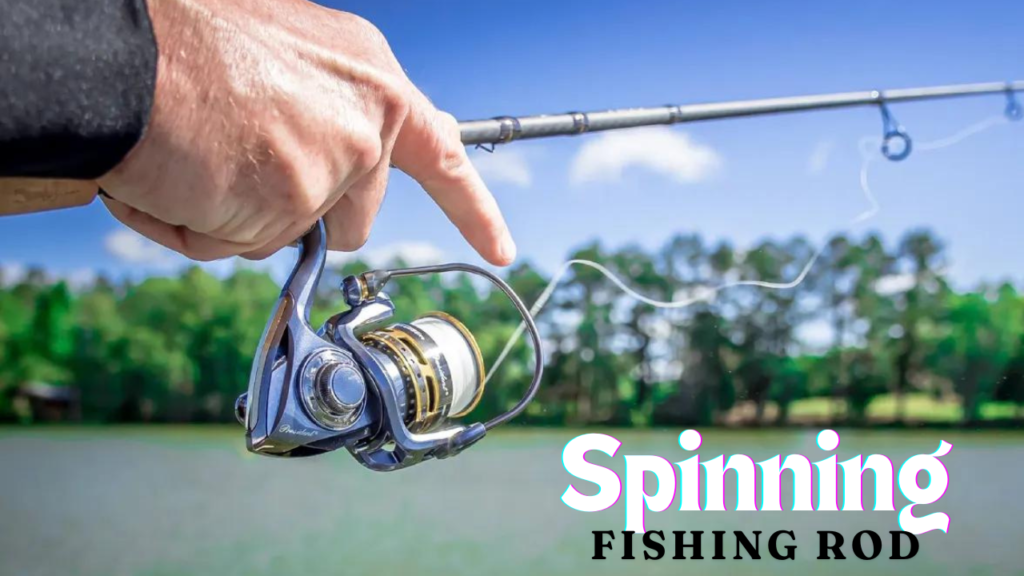 Spinning Fishing rod