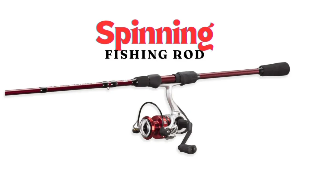 Spinning fishing rod.