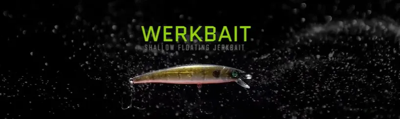 Floating Jerk Bait