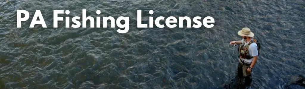 PA Fishing License