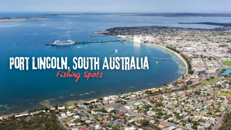 Fishing Spots: Port Lincoln, South Australia