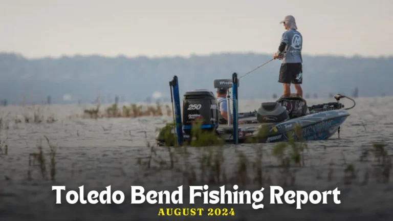 Toledo Bend Fishing Report