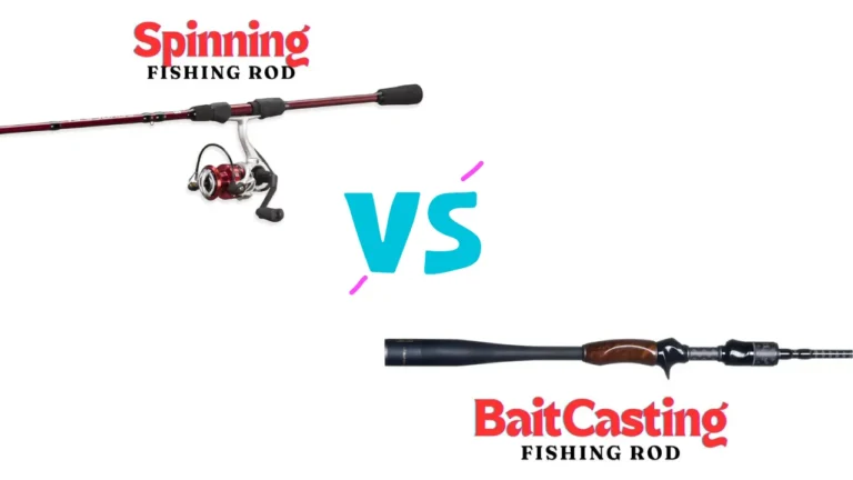 Baitcasting vs Spinning Fishing Rods