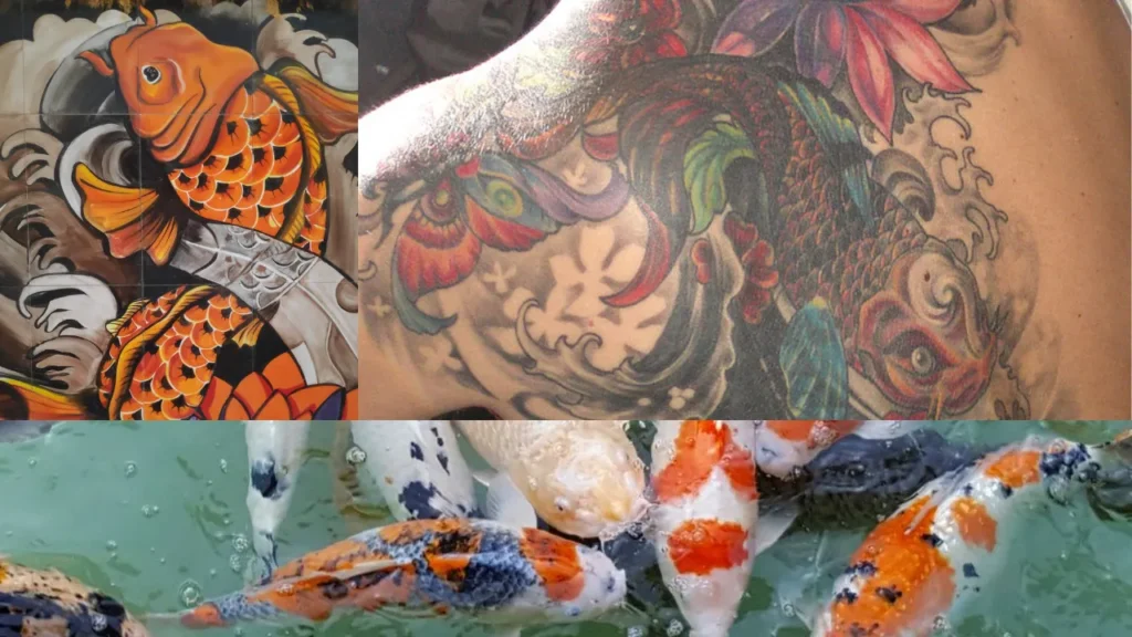 Koi Fish Tattoo Meaning