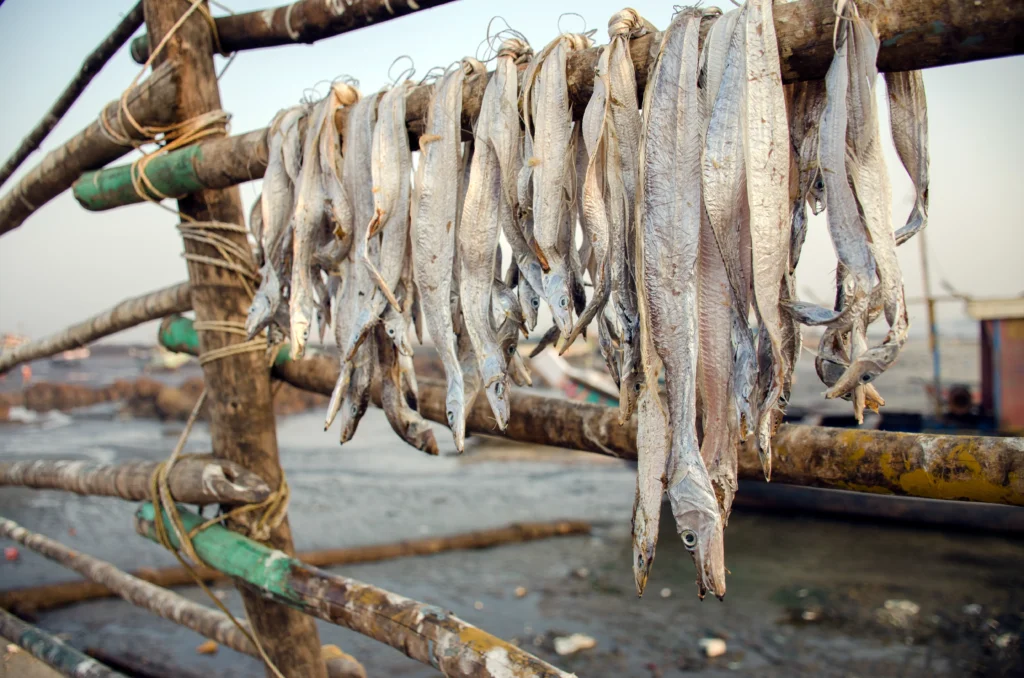 Dried Fish