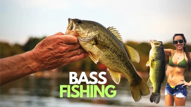 BASS FISHING