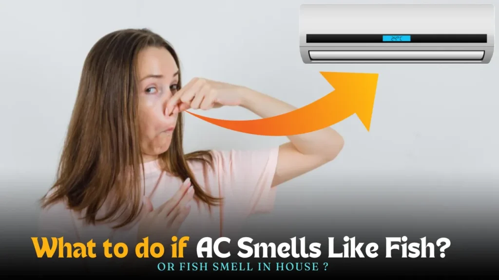 ac smells like fish