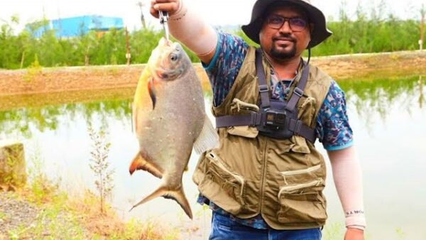Roopchand Fish: Discover Its Benefits, Price, and More - BARRA HUNTER