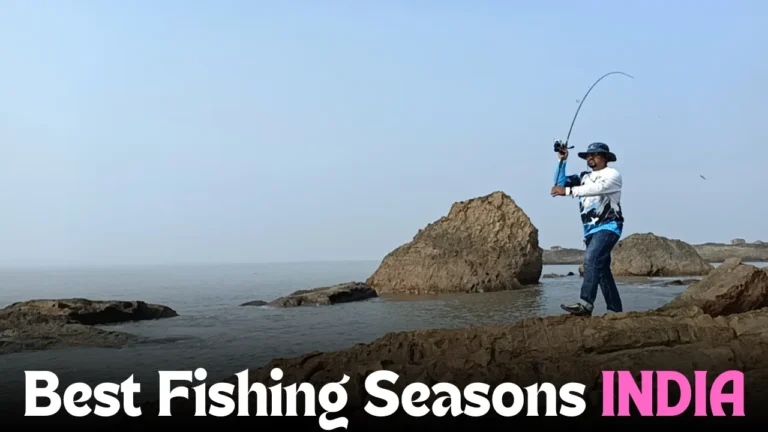 Best Fishing Season India