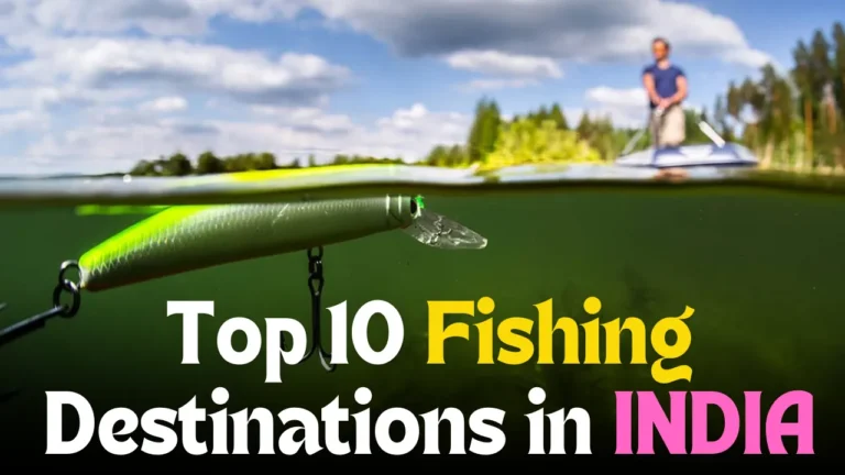 Top 10 Fishing Destinations in INDIA